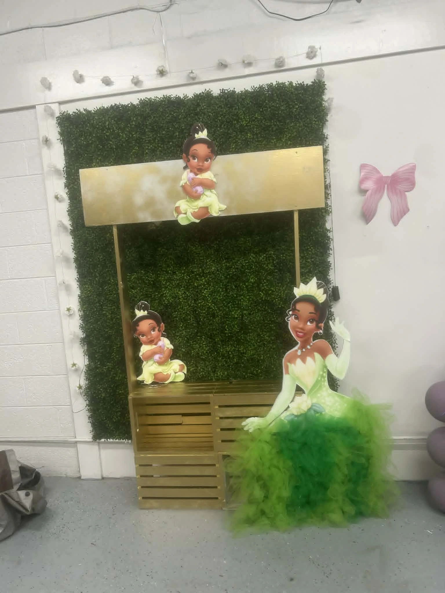 Princess themed setup